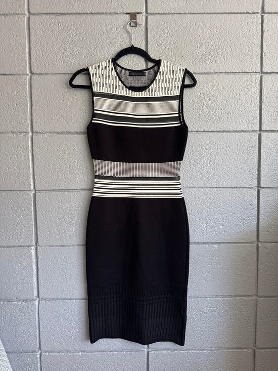 RVN Dresses & Skirts - RVN Black and White Mesh Bodycon Panel Dress size XS